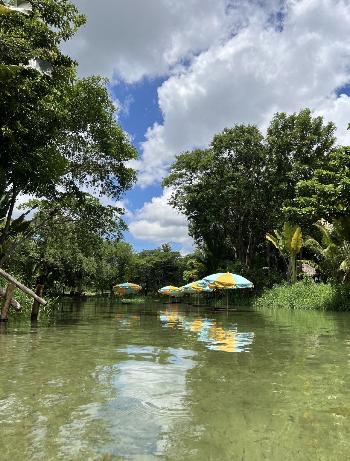 Águas transparentes, vegetação verde e céu azul na Fazenda Canto das Águas